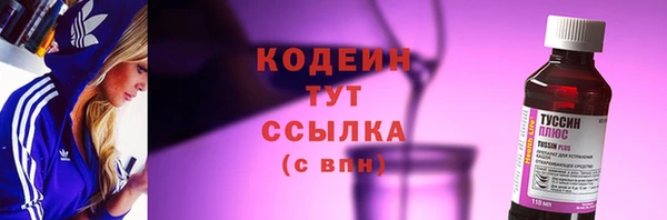 крисы Сатка
