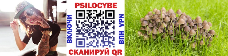Галлюциногенные грибы Cubensis  Купить  Волоколамск 
